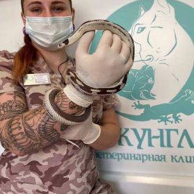 Фото нашего четвероногого посетителя 22